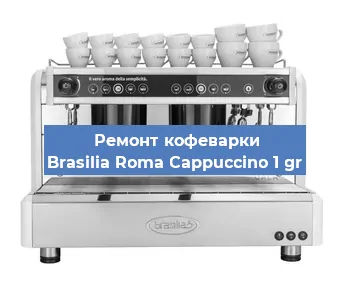 Замена прокладок на кофемашине Brasilia Roma Cappuccino 1 gr в Самаре
